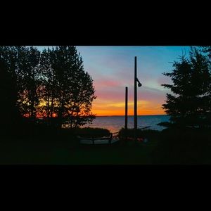 Meet your Posher, Abigail